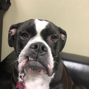 Meet your Posher, Douglas